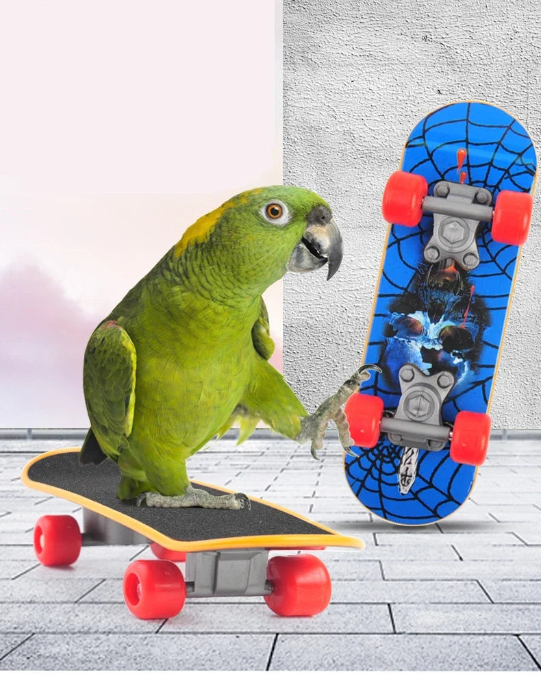 BirdieBoard Trainer