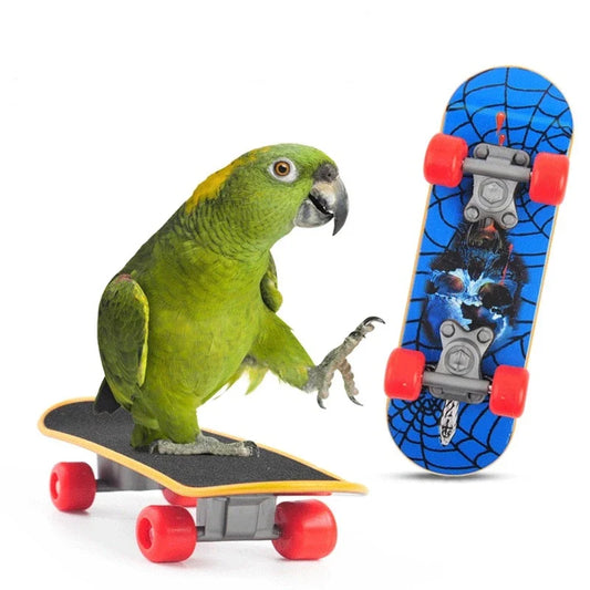 BirdieBoard Trainer