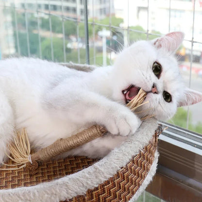 ChewPurr Dental Stick