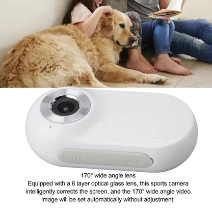 PawVista Pet Camera Collar