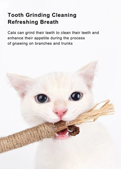 ChewPurr Dental Stick