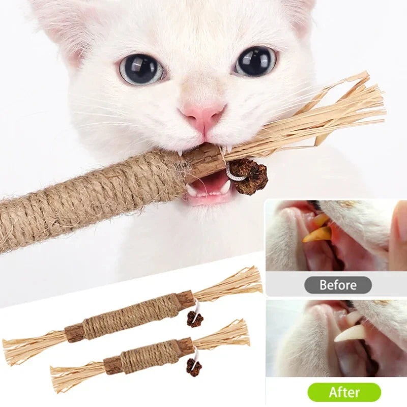 ChewPurr Dental Stick