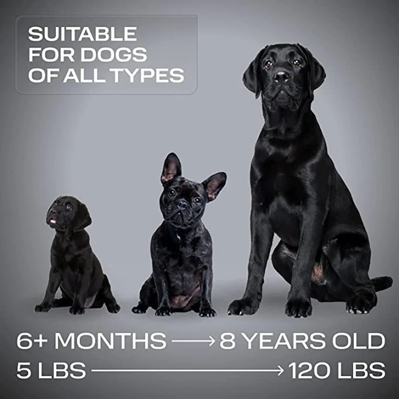 BarkShield Pro Ultrasonic Trainer