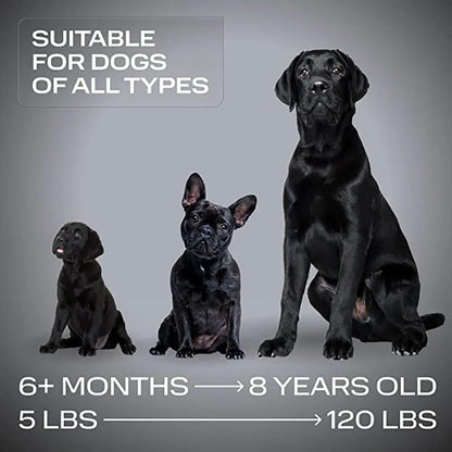 BarkShield Pro Ultrasonic Trainer